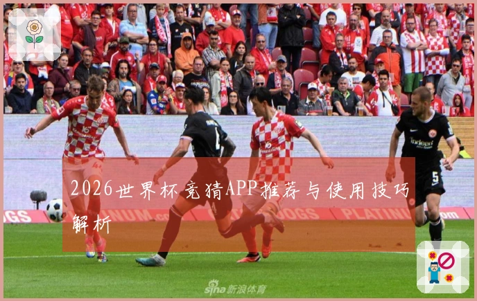 2026世界杯竞猜APP推荐与使用技巧解析