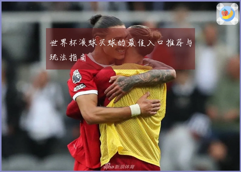 世界杯滚球买球的最佳入口推荐与玩法指南