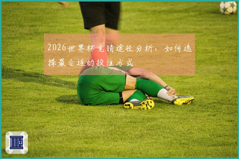2026世界杯竞猜途径分析，如何选择最合适的投注方式